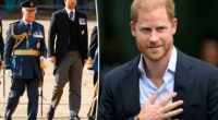 Prince Harry hit with major blow by dad King Charles despite recent reconciliation: report