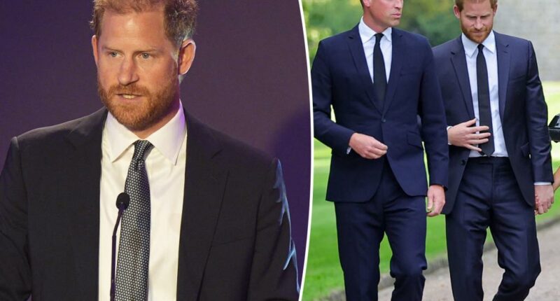 Prince Harry jokes about ‘challenging’ siblings as hope for William reconciliation is squashed