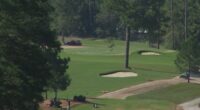 Progress on renovation of The Patch greeted with rave reviews