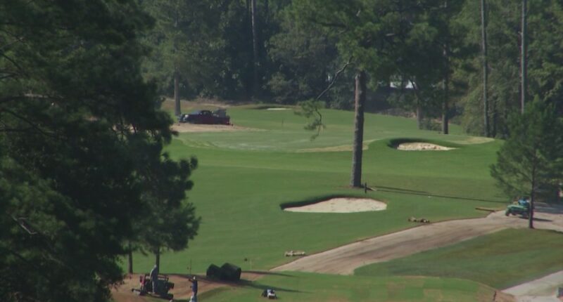 Progress on renovation of The Patch greeted with rave reviews