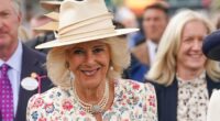 Queen Camilla Fought Off Attacker With Her Shoe as a Teenager, Book Claims