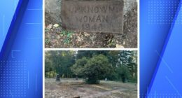 Remains exhumed in Oregon’s oldest unidentified person case