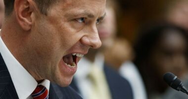 Remember Peter Strzok, the Smirking Anti-Trump FBI Agent? He Just Lost 1st Amendment Case Against the DOJ