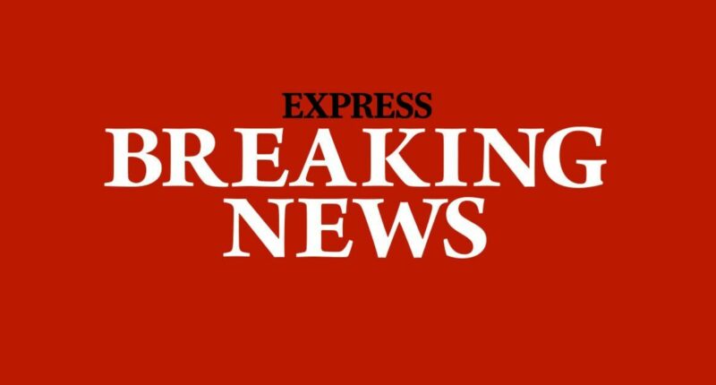 Robo Shankar dead: Beloved The Lion King star dies age 46 a day after collapsing on set