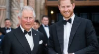 Royal Reconcilation? Prince Harry Meets With King Charles for First Time in Over a Year