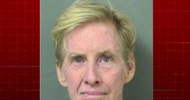 Ryan Routh attempted to stab himself in the neck with a pen after guilty verdict