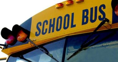 School bus driver arrested, Edgefield County School District confirms