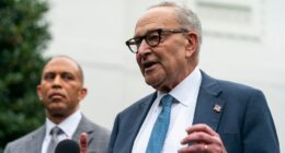 Schumer: Trump, GOP leaders are 'divided' over health insurance subsidies in funding bill