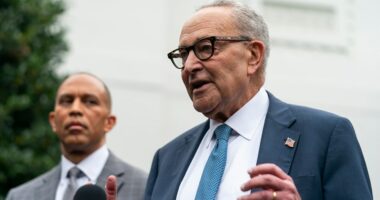 Schumer: Trump, GOP leaders are 'divided' over health insurance subsidies in funding bill