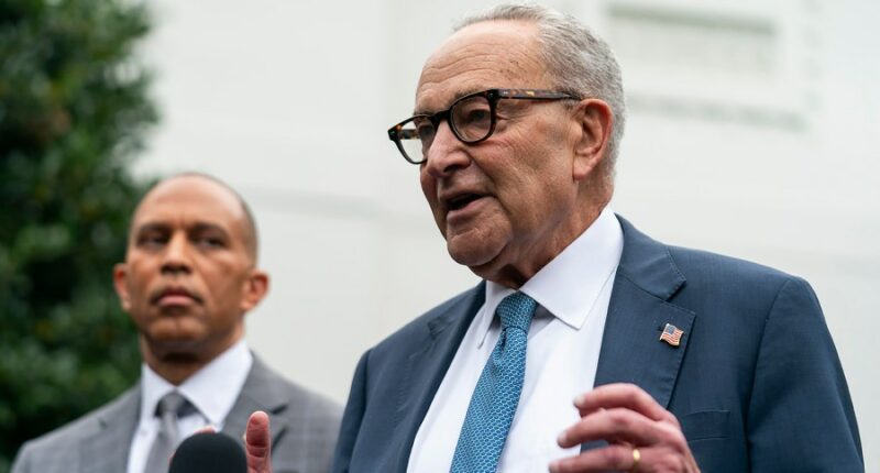 Schumer: Trump, GOP leaders are 'divided' over health insurance subsidies in funding bill
