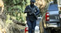 Search for Dezi Freeman continues as police lift Porepunkah travel warning