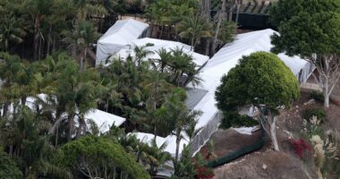 Selena Gomez and Benny Blanco's wedding preparations pictured