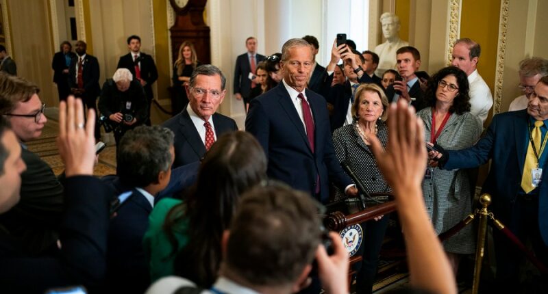 Senate GOP readies for high-stakes battles as work resumes in Washington