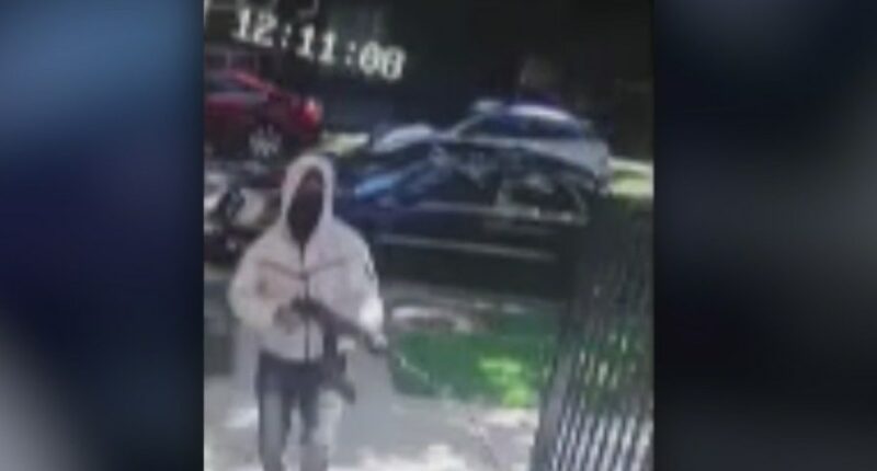 Send in troops, ICE, some Chicagoans say