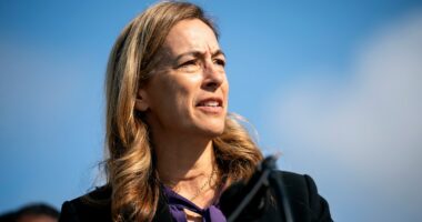 Sherrill campaign slams release of military records to opponent's ally