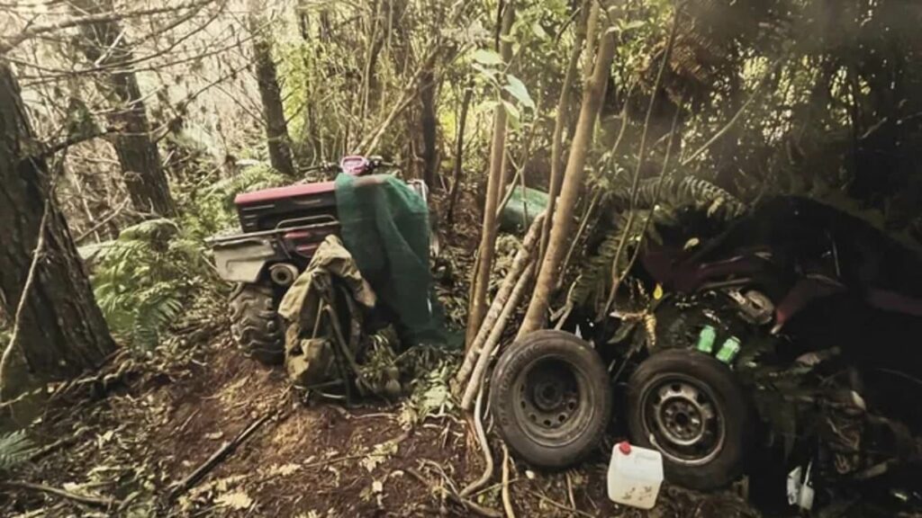 Shocking new photos show bush campsite where Tom Phillips' children were found hiding: 'Exposed to things that children in our country should not be'