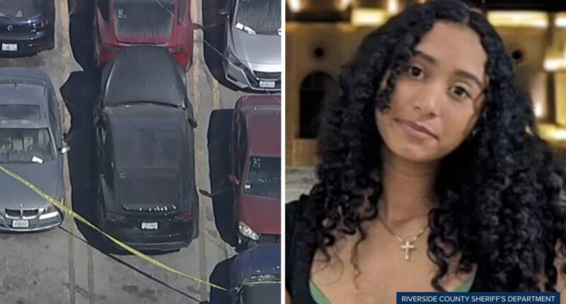 Singer D4vd's Tesla was reportedly ticketed 11 days before Celeste Rivas Hernandez's body was found in Southern California