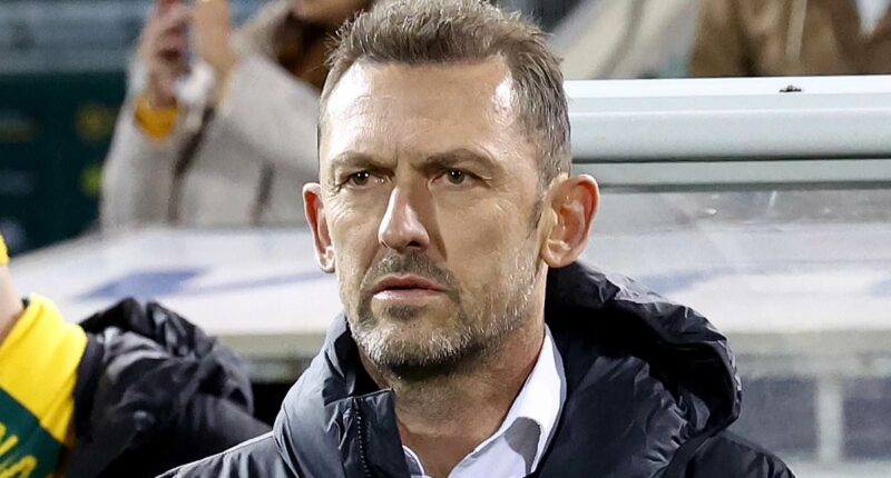 Socceroos beat New Zealand after late goal from debutant midfielder Max Balard - but here's why coach Tony Popovic felt deflated at fulltime