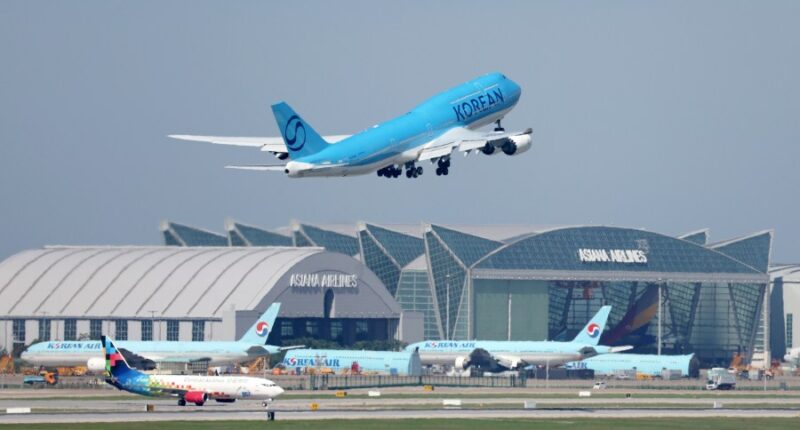 South Korea sends plane to US to bring back workers detained in immigration raid