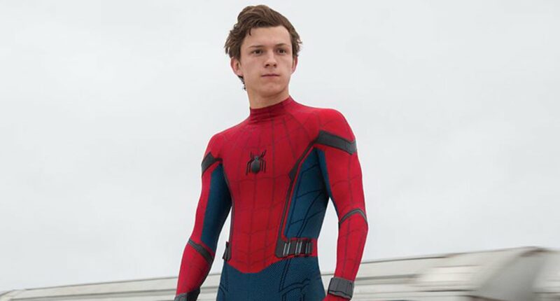 Spider-Man 'halted for a week' after Tom Holland 'concussion' on set