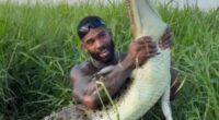 Steve Irwin's father slams 'disgusting'  influencer for wrestling with crocodiles