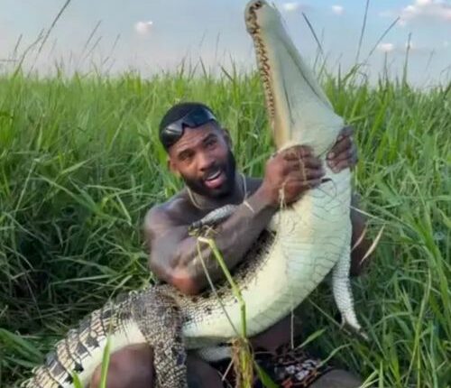 Steve Irwin's father slams 'disgusting'  influencer for wrestling with crocodiles