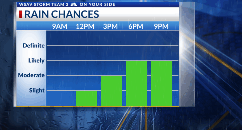 Storm Team 3: Monitoring afternoon storms and tracking the tropics