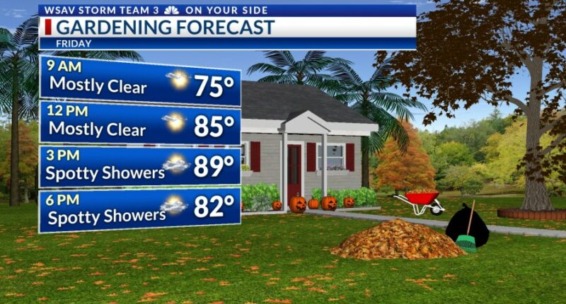 Storm Team 3: Very warm & humid Friday, weekend; tracking Gabrielle