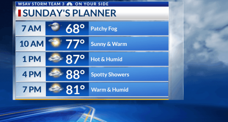 Storm Team 3: Warm, humid and tame weather pattern continues