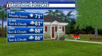 Storm Team 3: Warmer, more humid days ahead, Atlantic tropical development likely