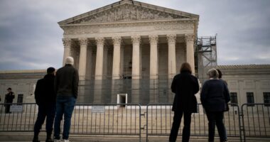 Supreme Court greenlights Trump's FTC firing, to consider overruling 90-year precedent 