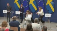 Swedish health minister collapses during media conference