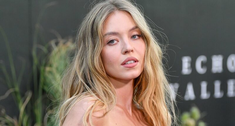 Sydney Sweeney's friends humiliate Scooter Braun amid new romance