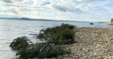 TVA, TWRA to restore fish habitat on Watauga Lake after Helene
