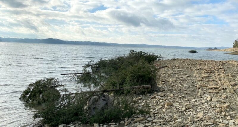 TVA, TWRA to restore fish habitat on Watauga Lake after Helene