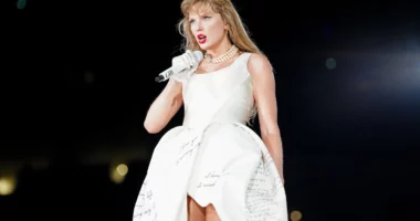 Taylor Swift Secretly Scanned Her Fans' Faces to Look for Stalkers
