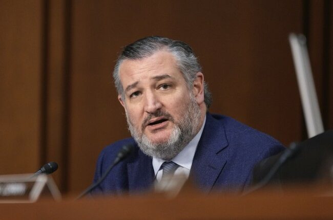 Ted Cruz Demolishes CNN Host Kaitlan Collins' Deplorable Take on Accused Kirk Killer's Motive