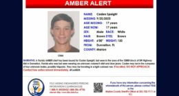 Teen faked abduction that led to Amber Alert: Sheriff