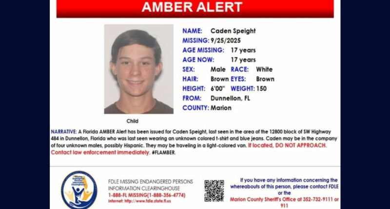 Teen faked abduction that led to Amber Alert: Sheriff