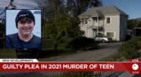 Teen stabbed buddy more than 30 times, chopped up body