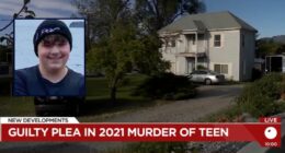 Teen stabbed buddy more than 30 times, chopped up body