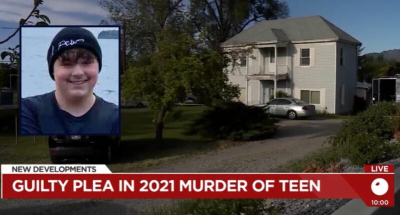 Teen stabbed buddy more than 30 times, chopped up body
