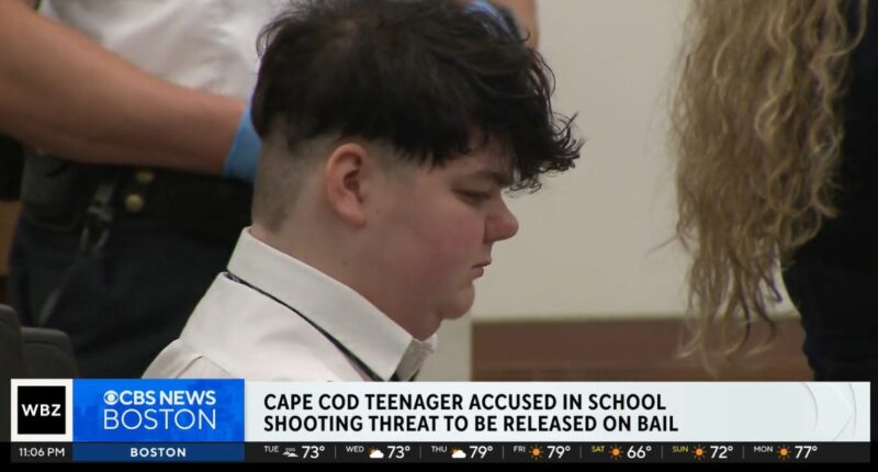 Teen with 3D printer 'capable' of making a gun posts bail
