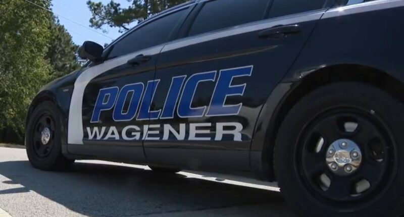 Tensions rise in Wagener as town council votes to fire police chief