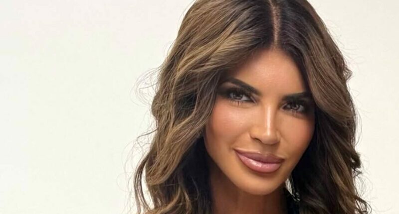 Teresa Giudice on RHONJ Filming Rumors, Special Forces Changing Her