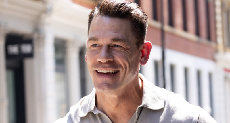 The 12 Best John Cena Movies And TV Shows, Ranked