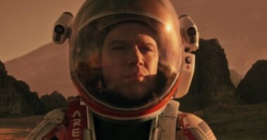 The 15 Best Survival Movies Of All Time, Ranked