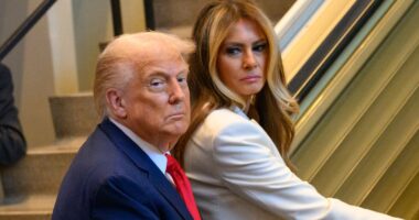 The Controversy Behind Trump & Melania's Escalator Moment That Caused A MAGA Freakout