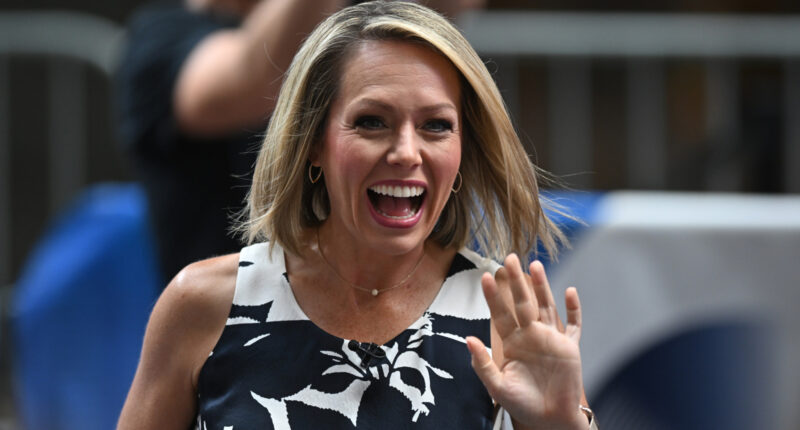 The Shady Side Of NBC's Dylan Dreyer Everyone Ignores