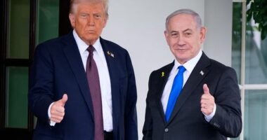 The familiar face Trump wants to lead Gaza